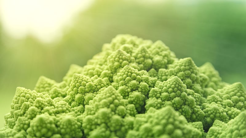Nutrient-Rich Foods